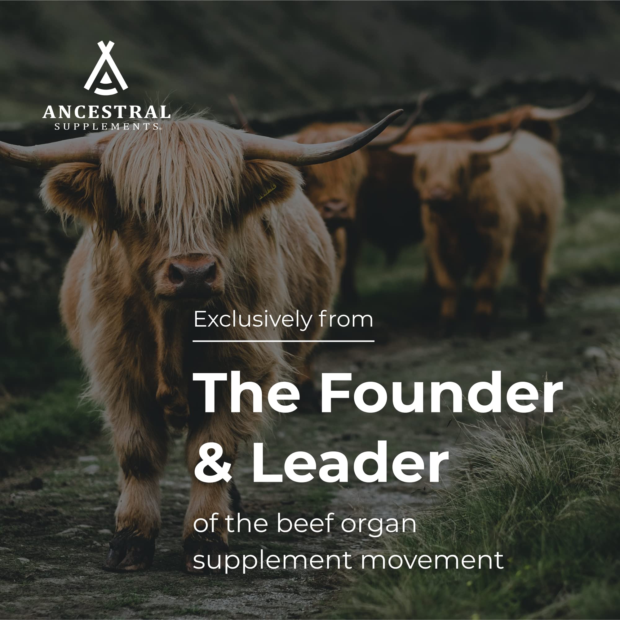Ancestral Supplements digestive health bottle on counter conveys convenient daily gut support.