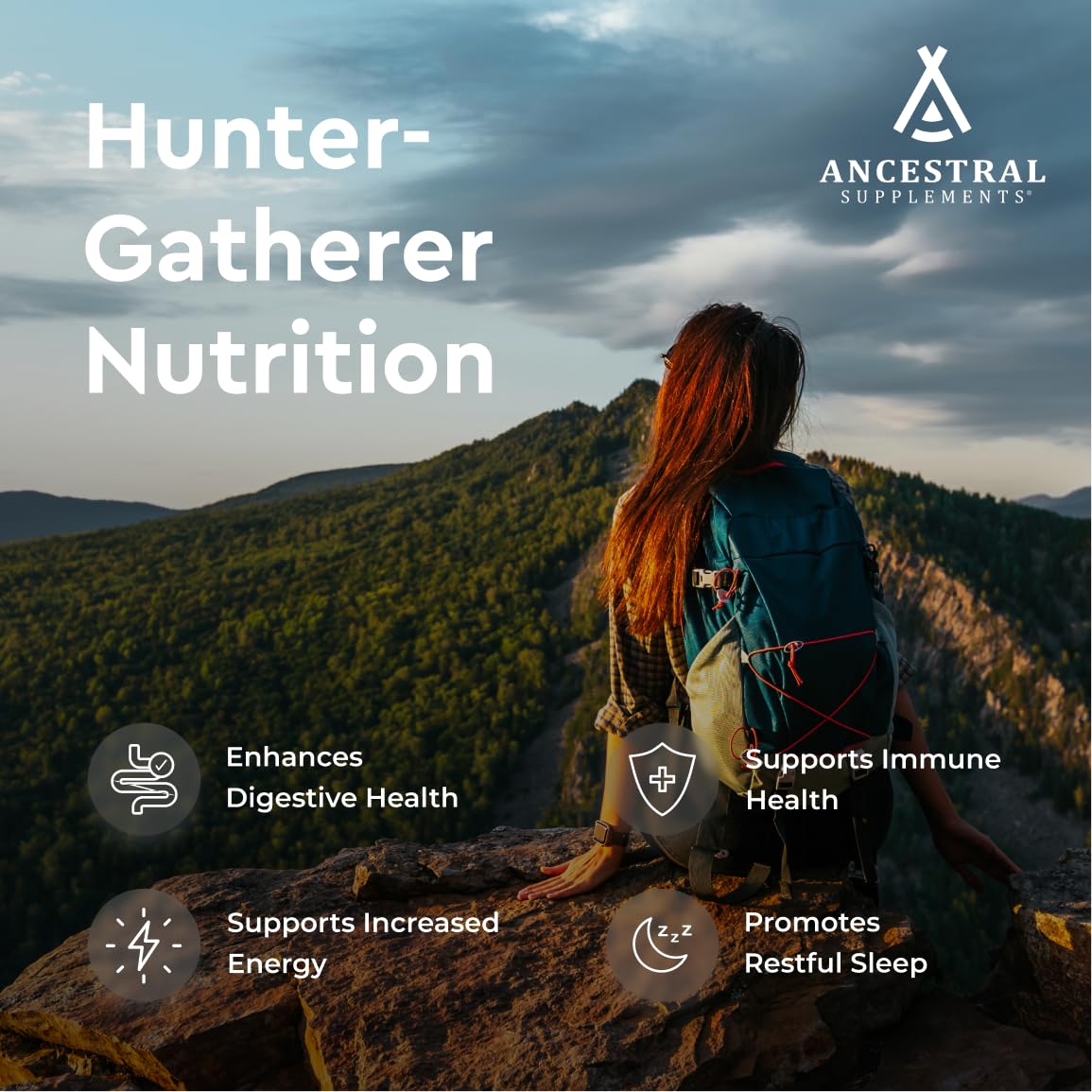 Ancestral Supplements grass fed organs blend visual highlighting liver and heart nutrients.