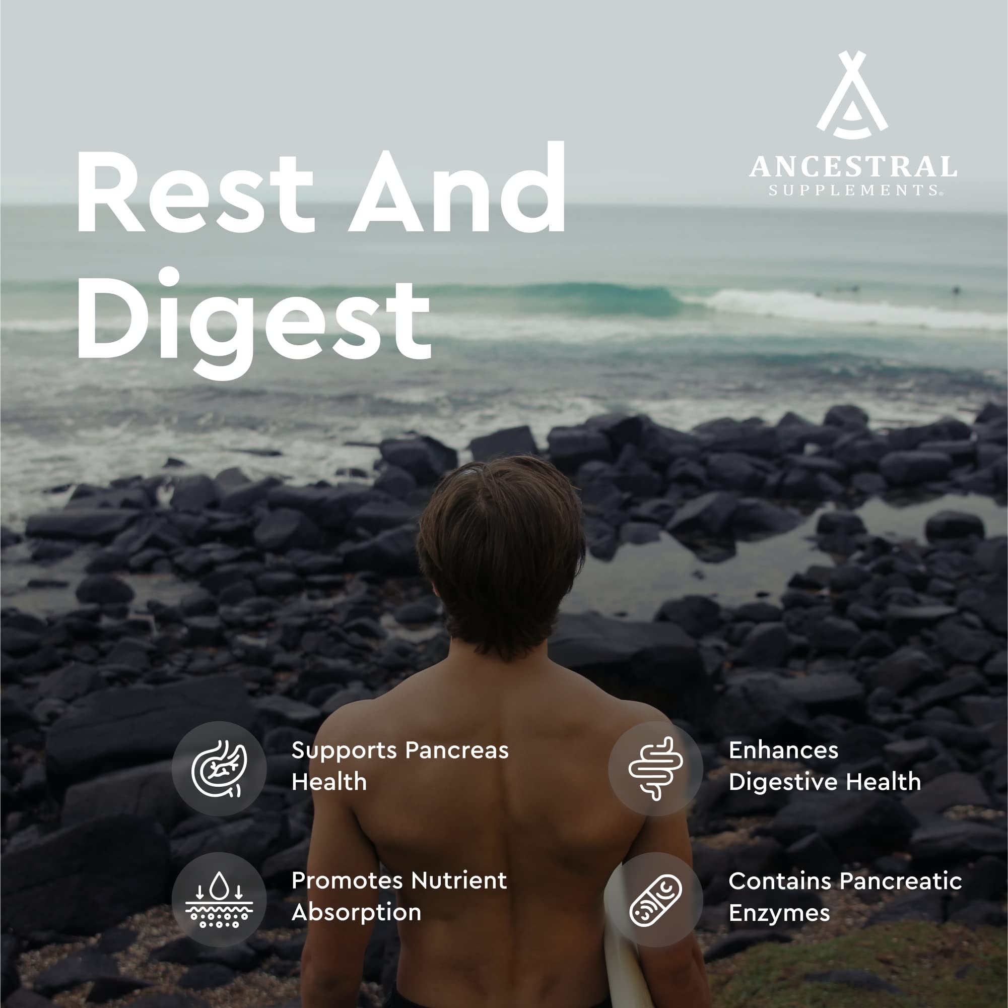 Ancestral Supplements grass-fed pancreas label emphasizes clean sourcing and purity