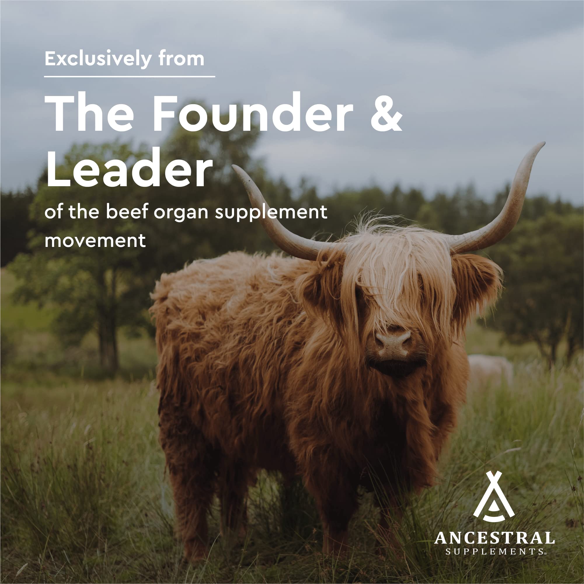 Ancestral Supplements packaging highlights grass-fed origin for pure organ nutrition