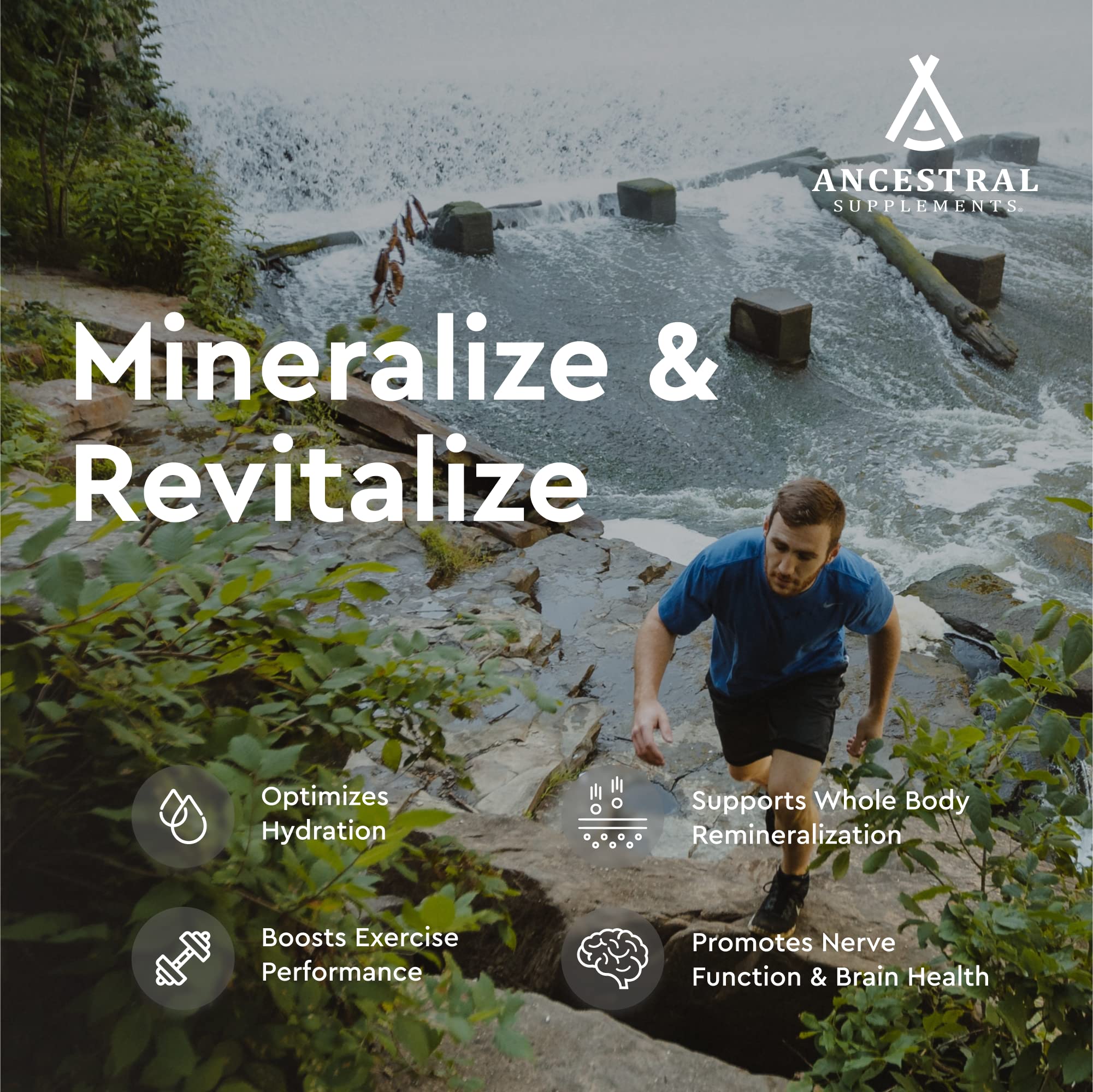 Ancestral Supplements wild-harvest kelp sources highlighting pristine ocean minerals