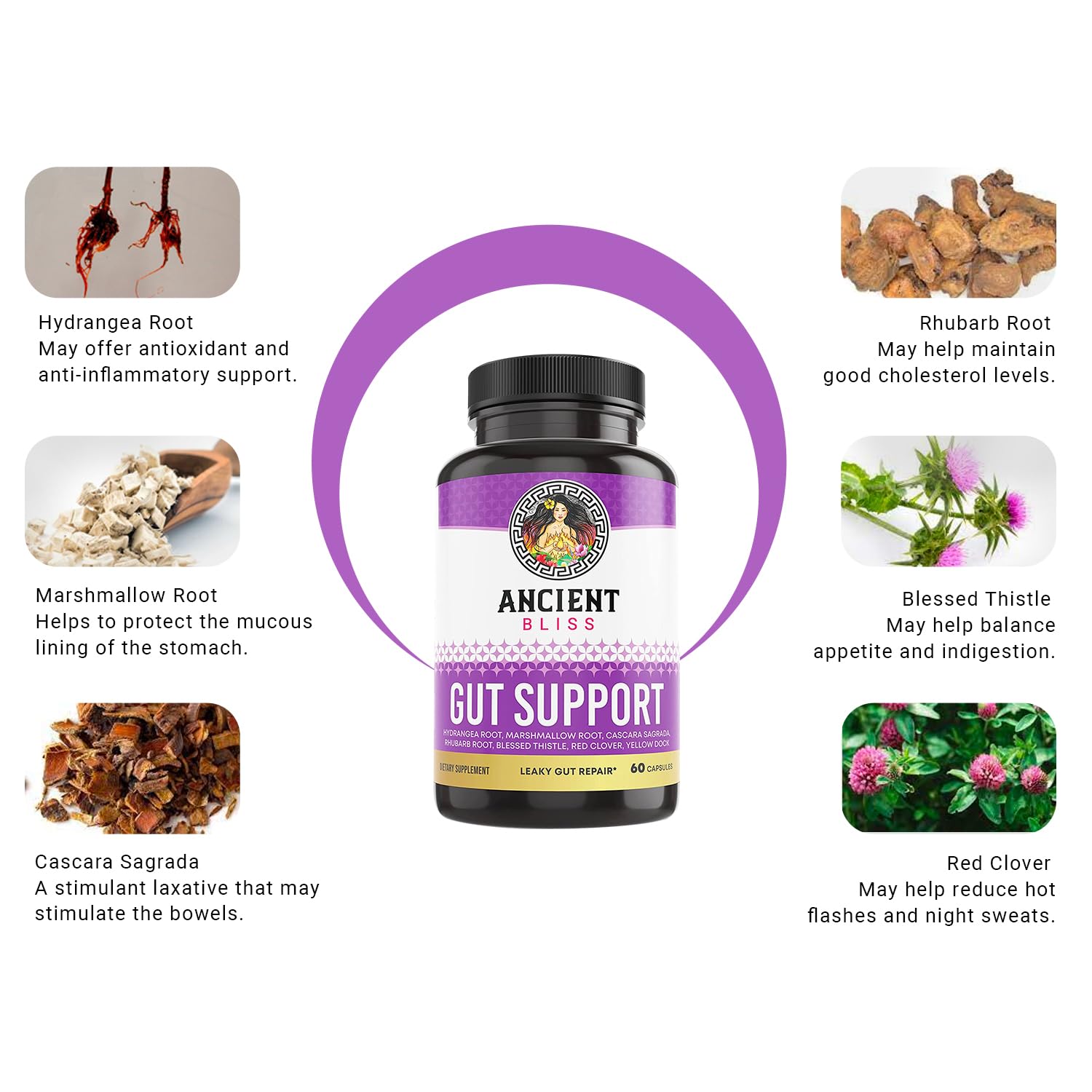 Ancient Bliss blessed thistle and hydrangea root close-up showing natural ingredients