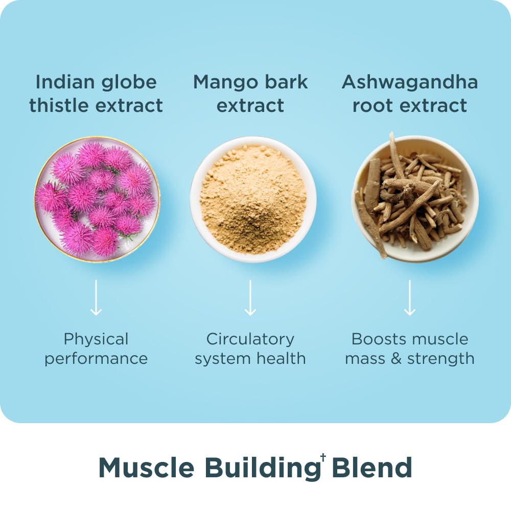 Ancient Nutrition Advanced Multi Collagen on kitchen counter beside a glass of water for easy daily intake.