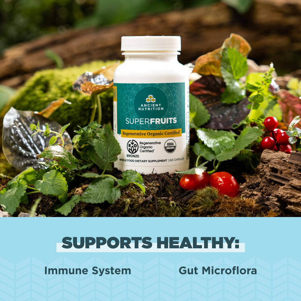 Ancient Nutrition Bacillus subtilis AB22 culture highlighting probiotic absorption support.