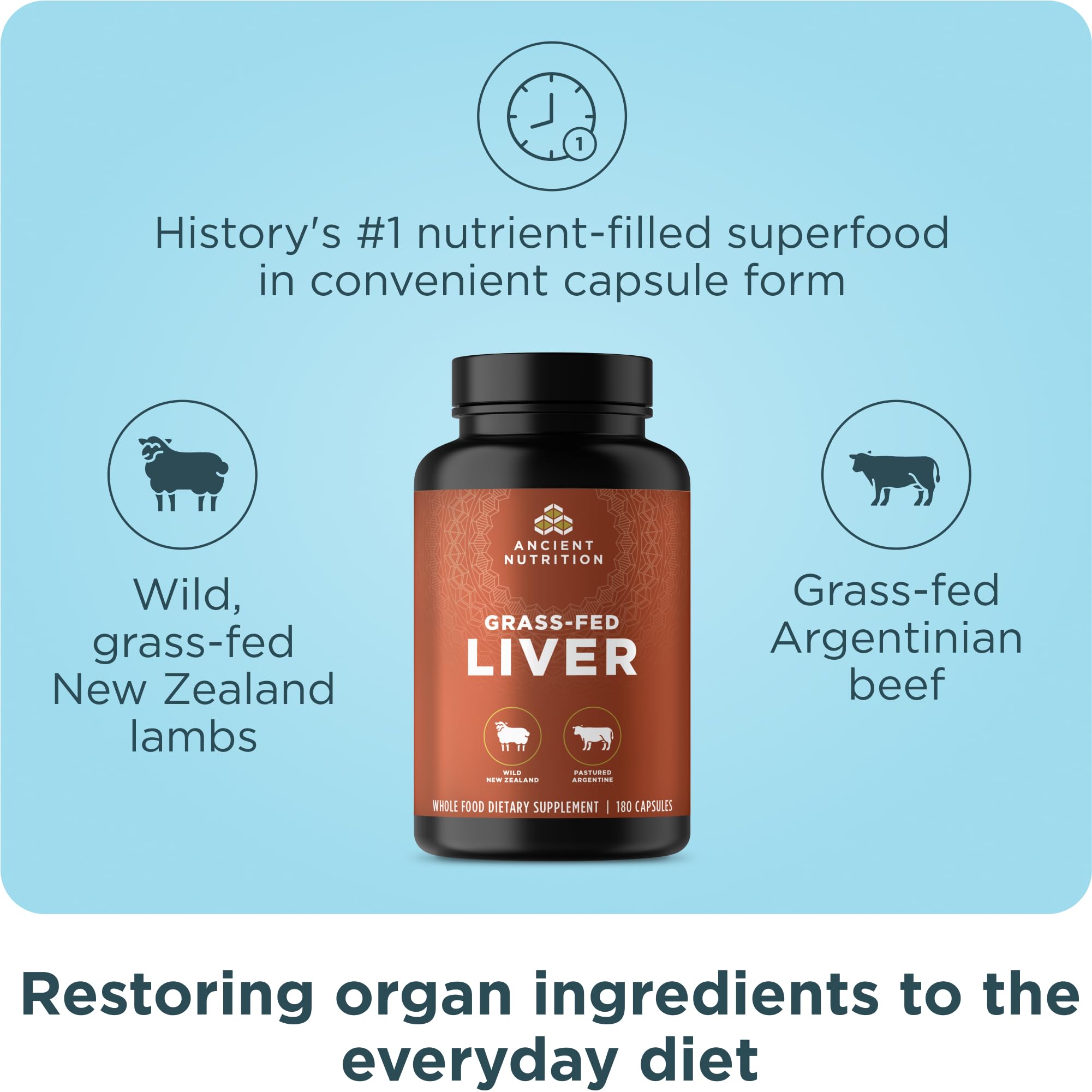 Ancient Nutrition beef liver capsules close-up for daily vitality