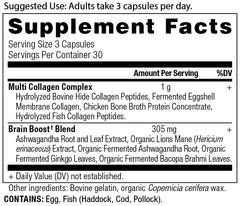 Ancient Nutrition Collagen Brain Boost capsules close-up indicating daily use.