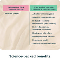 Ancient Nutrition label highlights lactoferrin and probiotics for gut support.