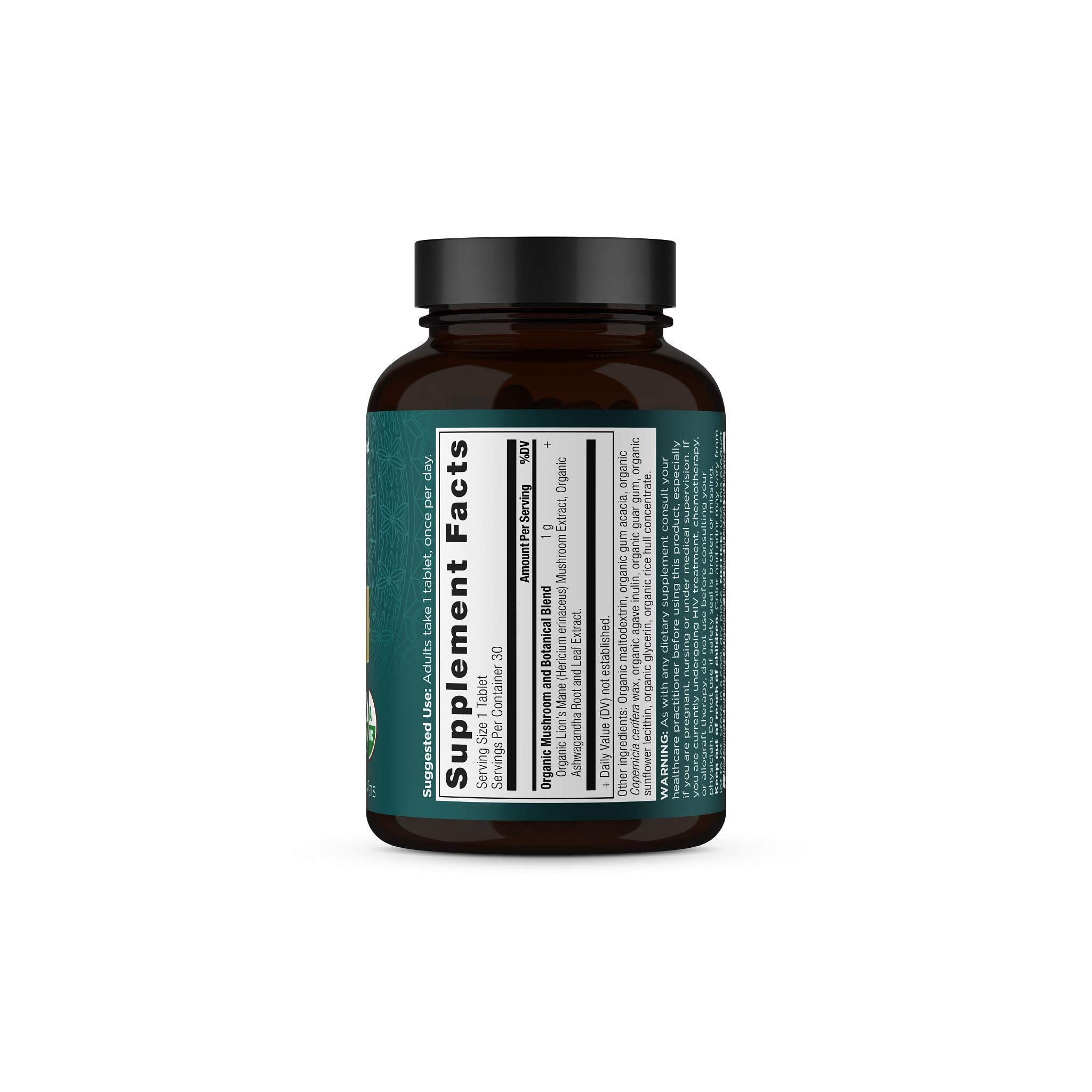 Ancient Nutrition Lion's Mane on a tidy desk setup for focus routine.