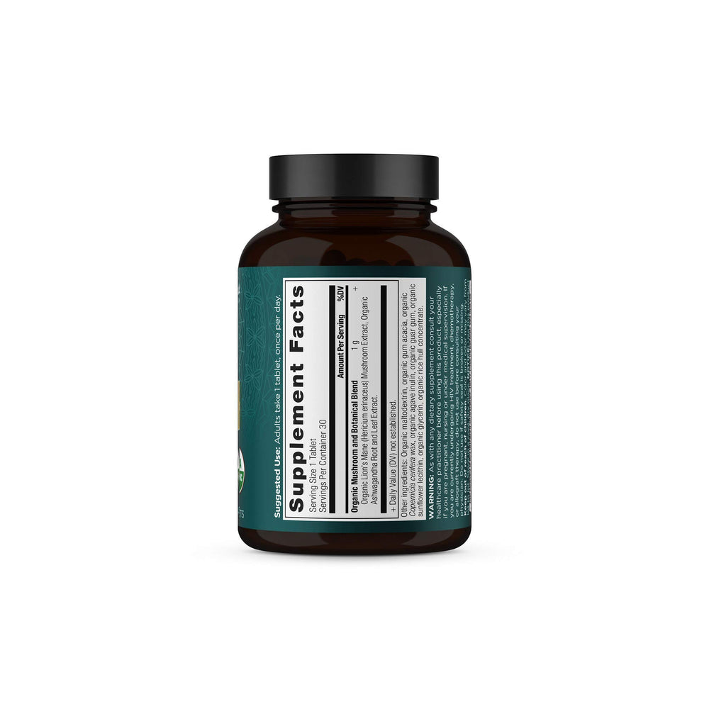 Ancient Nutrition Lion's Mane on a tidy desk setup for focus routine.