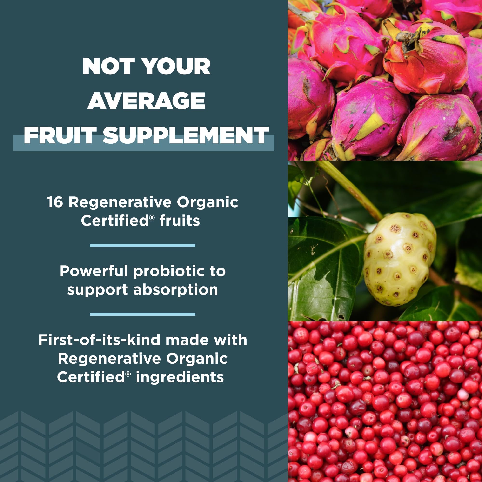Ancient Nutrition dragonfruit, mulberry, and goji fruits blend for nutrient-dense days.