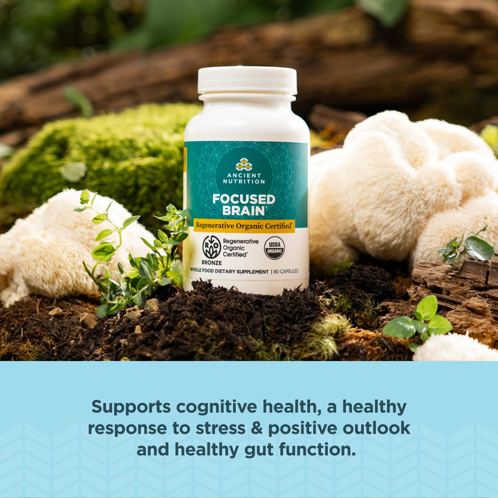 Ancient Nutrition ingredient blend with ginkgo leaf and lion's mane