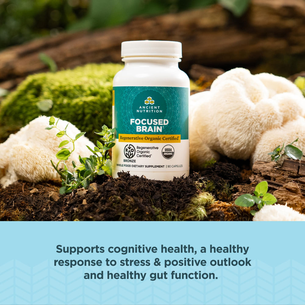 Ancient Nutrition ingredient blend with ginkgo leaf and lion's mane