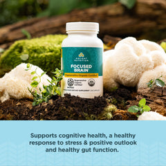 Ancient Nutrition ingredient blend with ginkgo leaf and lion's mane