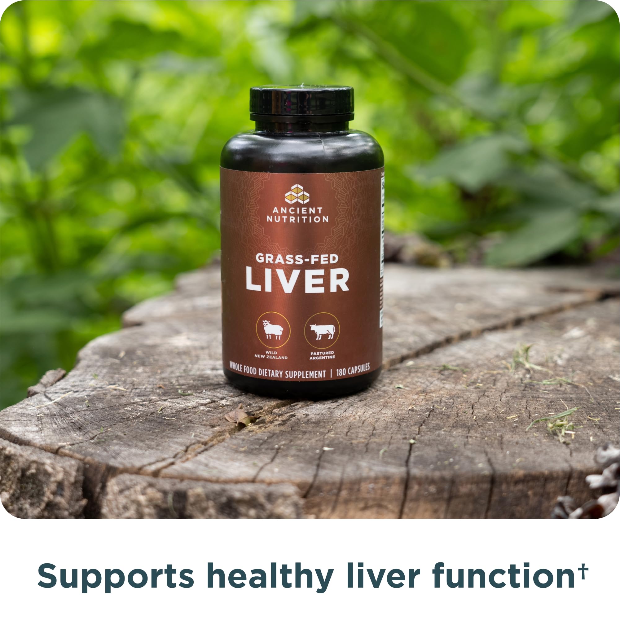 Ancient Nutrition grass-fed organs from Argentina for high-quality nutrition