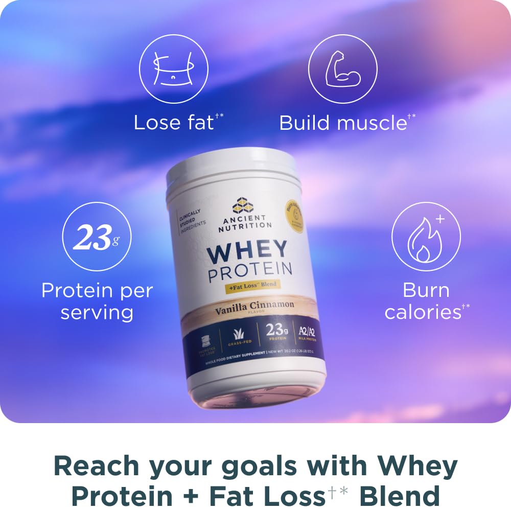 Ancient Nutrition grass-fed whey vanilla cinnamon powder ideal for smoothies and on-the-go protein.