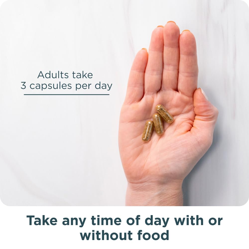 Ancient Nutrition advanced lean key ingredients like moringa and turmeric.