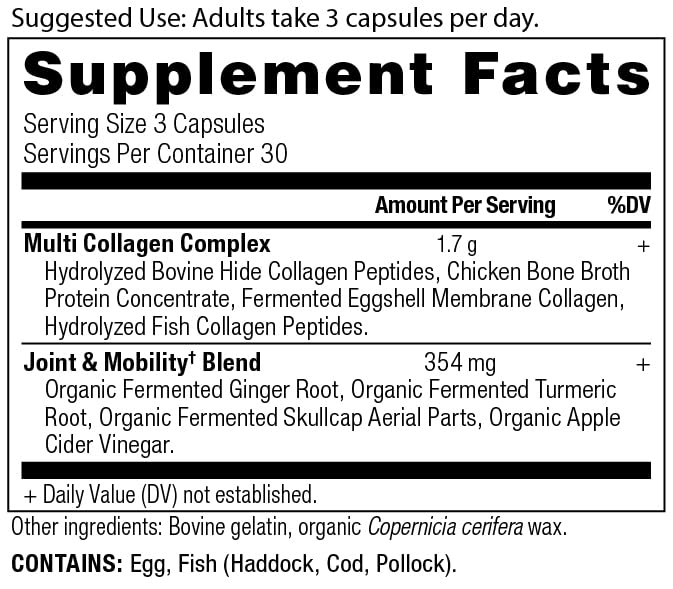 Ancient Nutrition Multi Collagen capsules close-up for daily mobility support