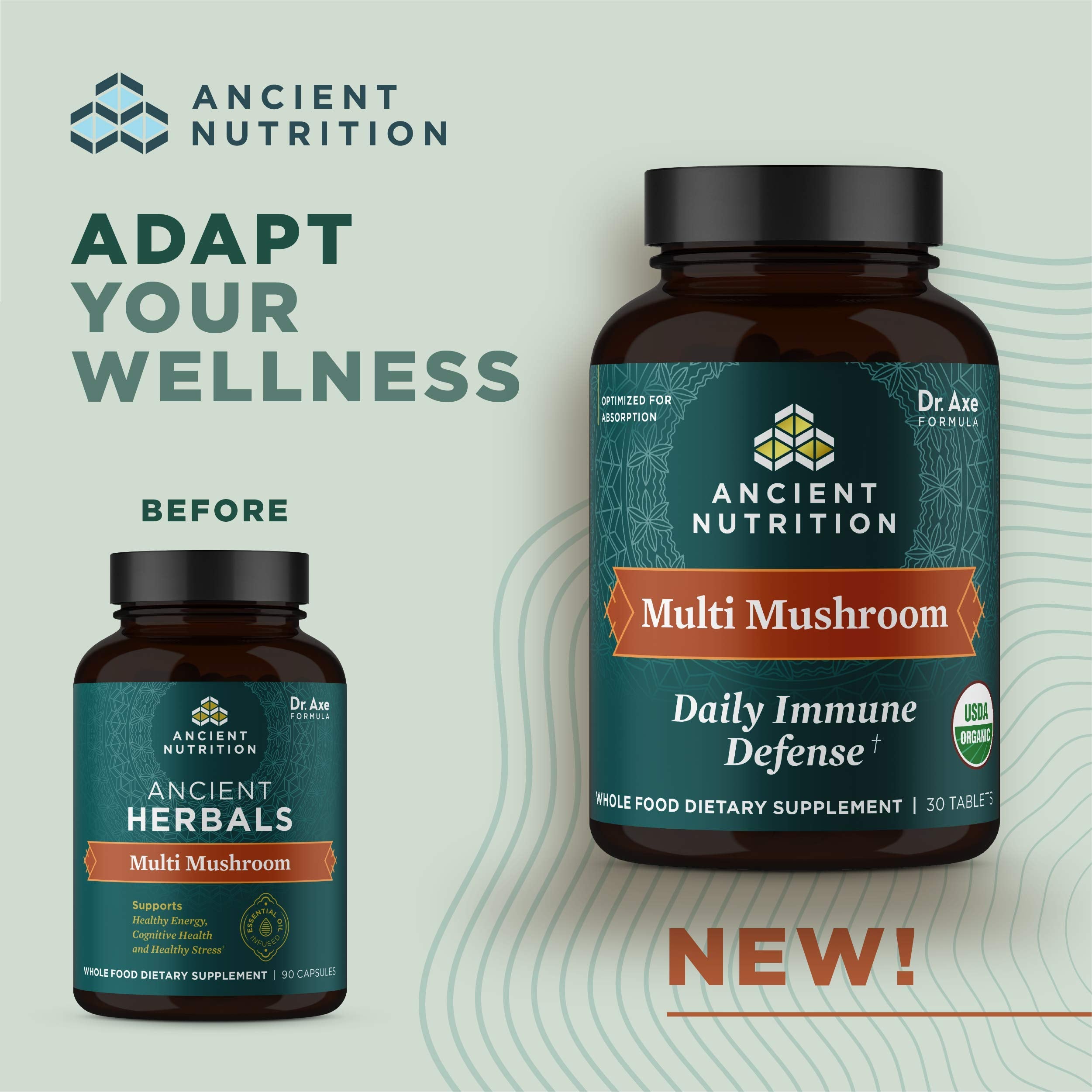 Ancient Nutrition Multi Mushroom bottle back with dosage guidance.