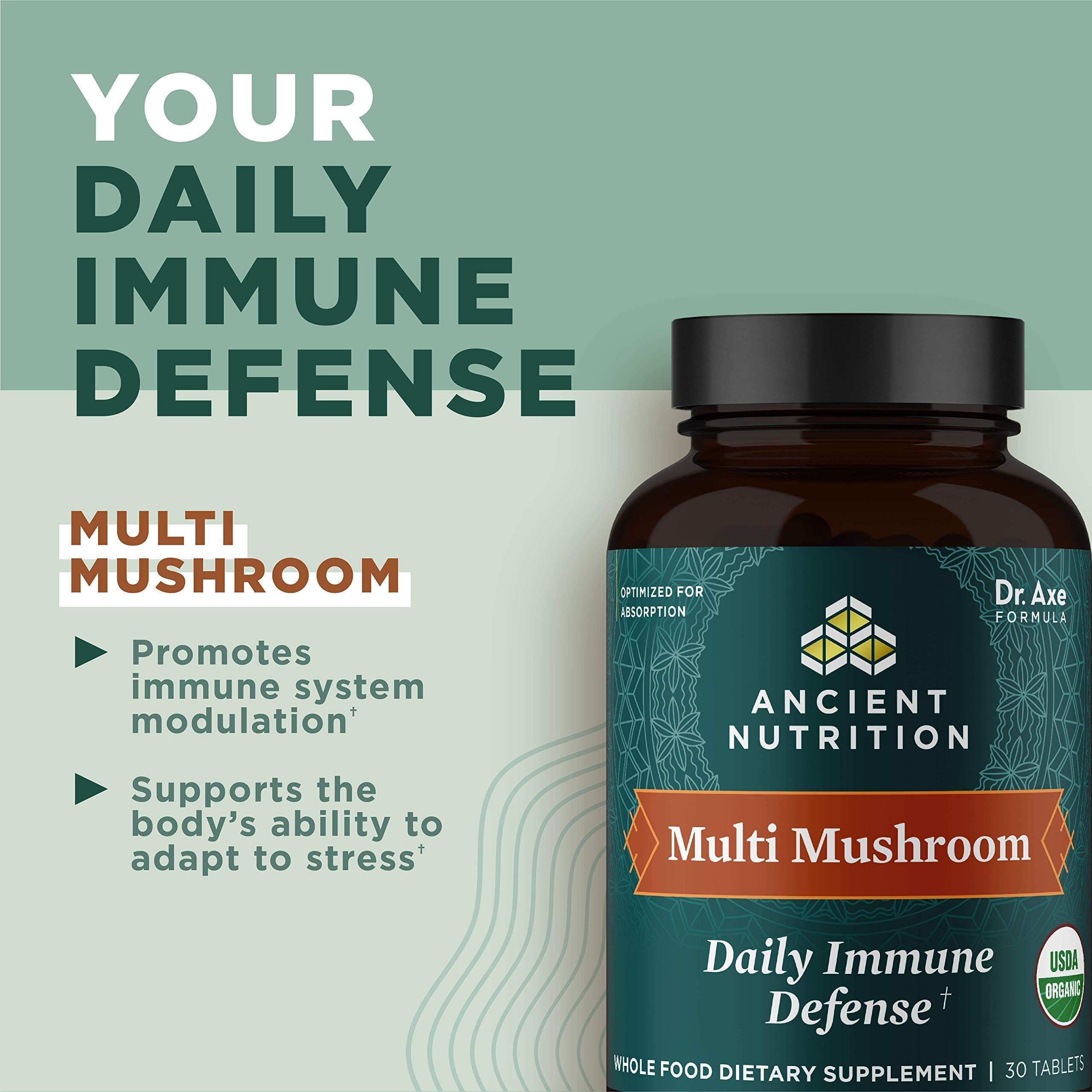 Ancient Nutrition Multi Mushroom capsules close-up for easy daily use.