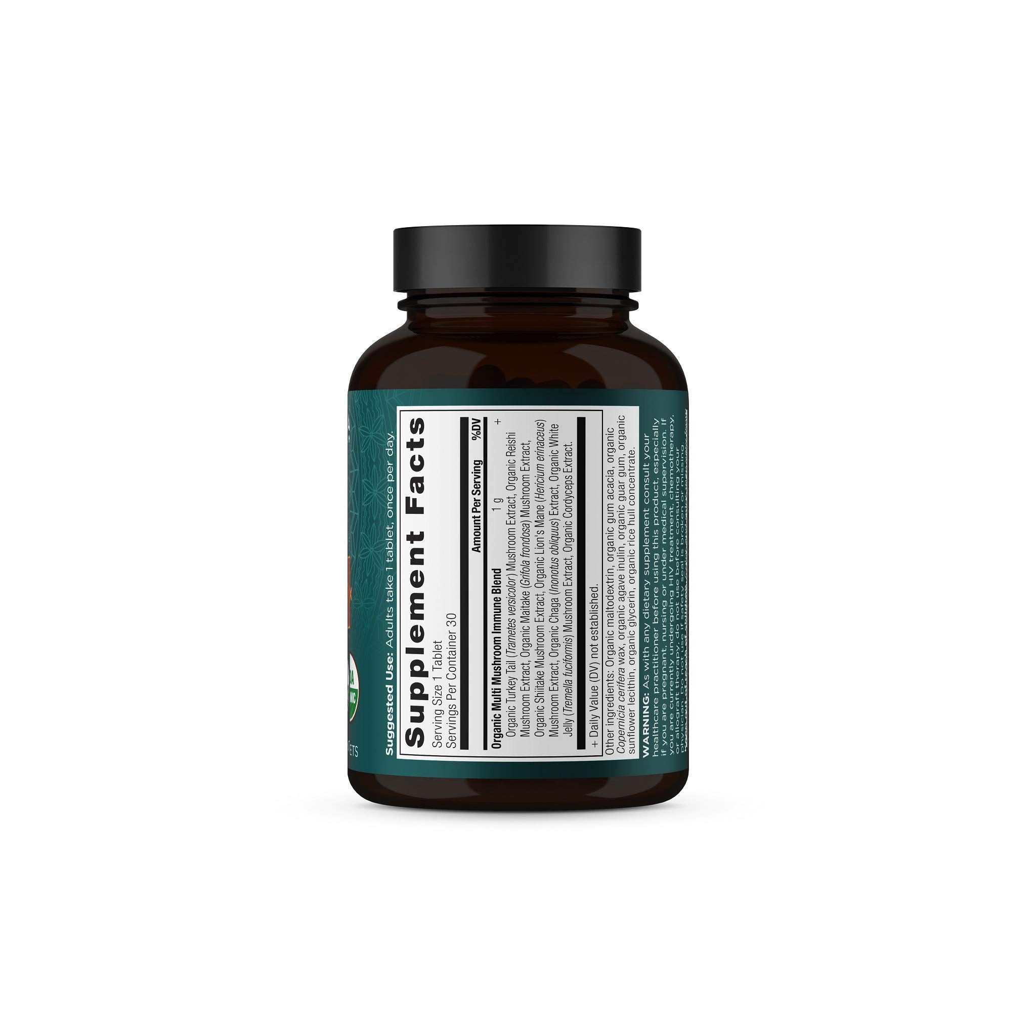 Ancient Nutrition Multi Mushroom in kitchen setting implies practical daily immune support