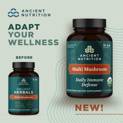 Ancient Nutrition Multi Mushroom label highlights organic blend for stress-adaptive immune support