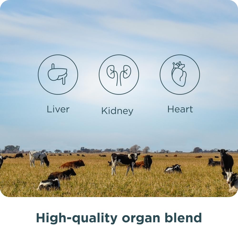 Ancient Nutrition Organ Complex capsules-pour-into-hand simple routine.