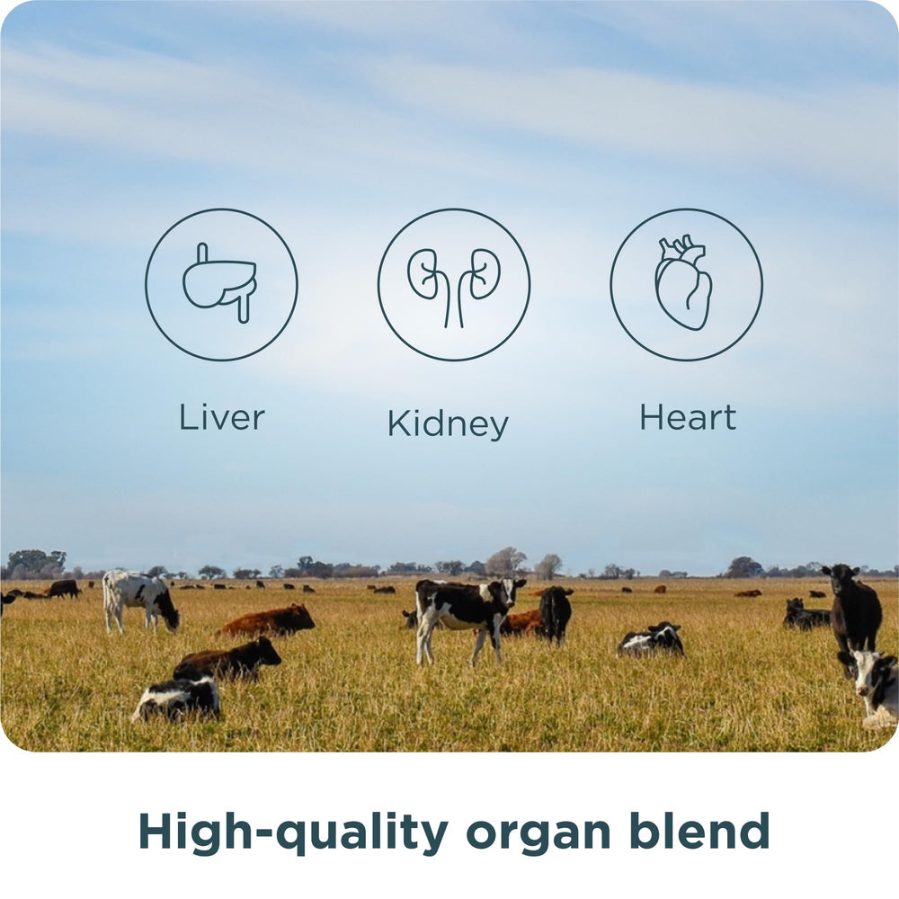Ingredients graphic shows grass-fed bovine and wild lamb organ sources.
