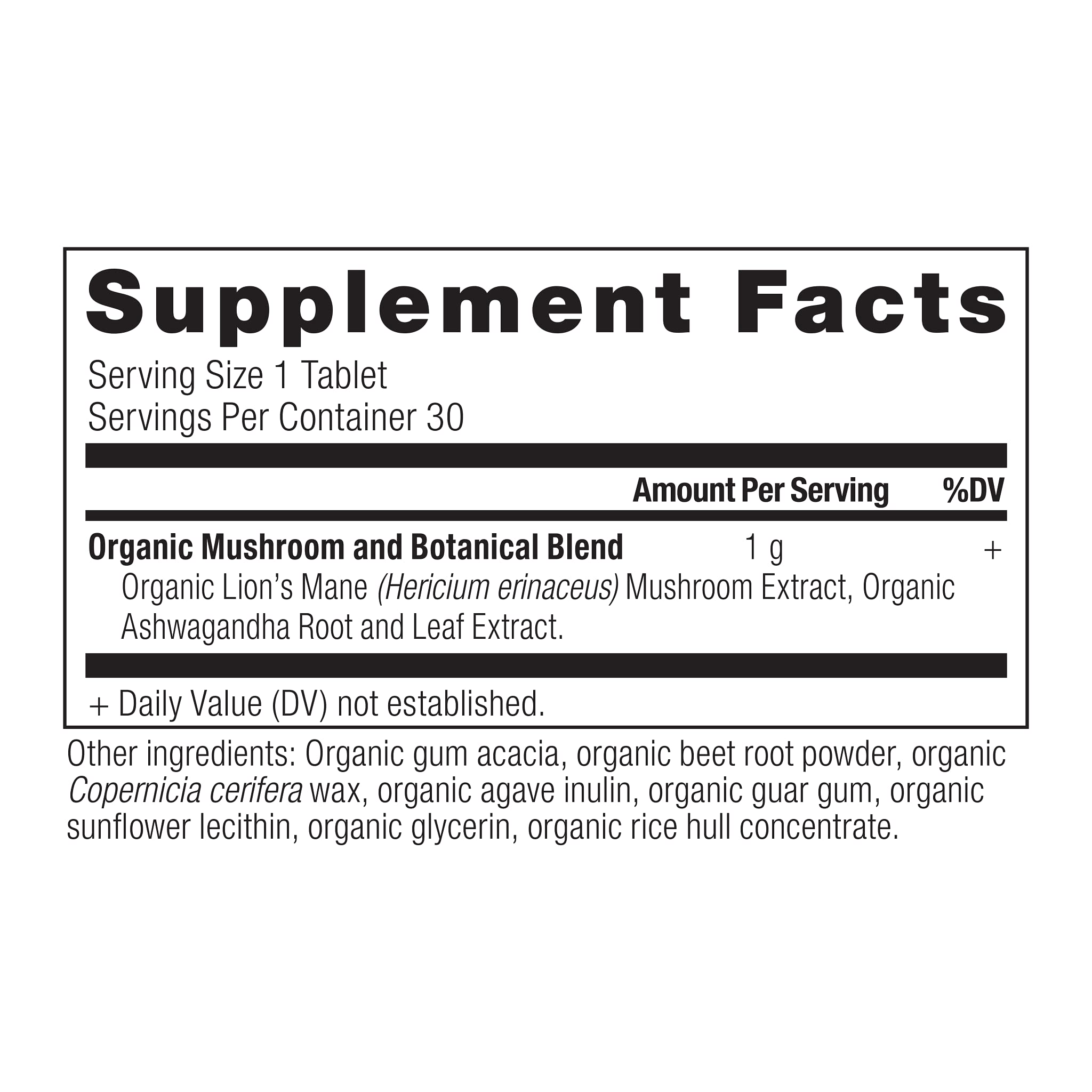 Ancient Nutrition Lion's Mane tablets close-up for daily supplementation.
