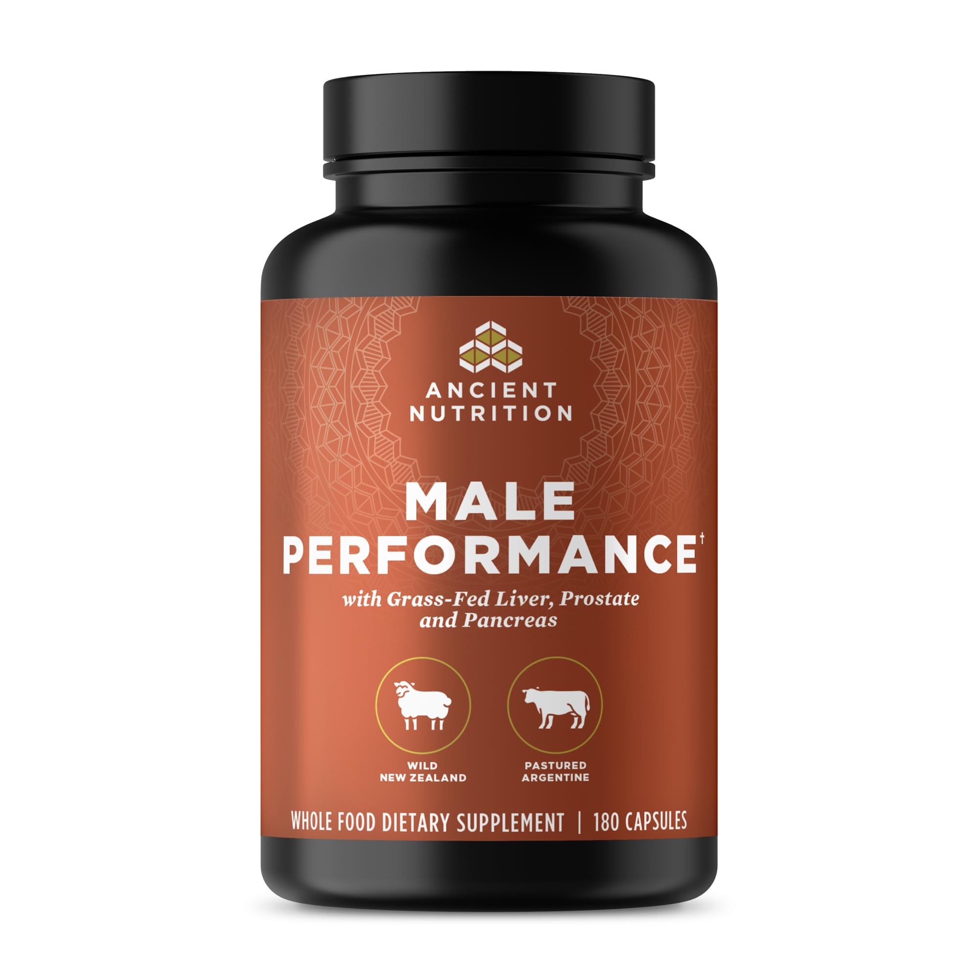 Ancient Nutrition Organ Complex for Men bottle with daily capsules.