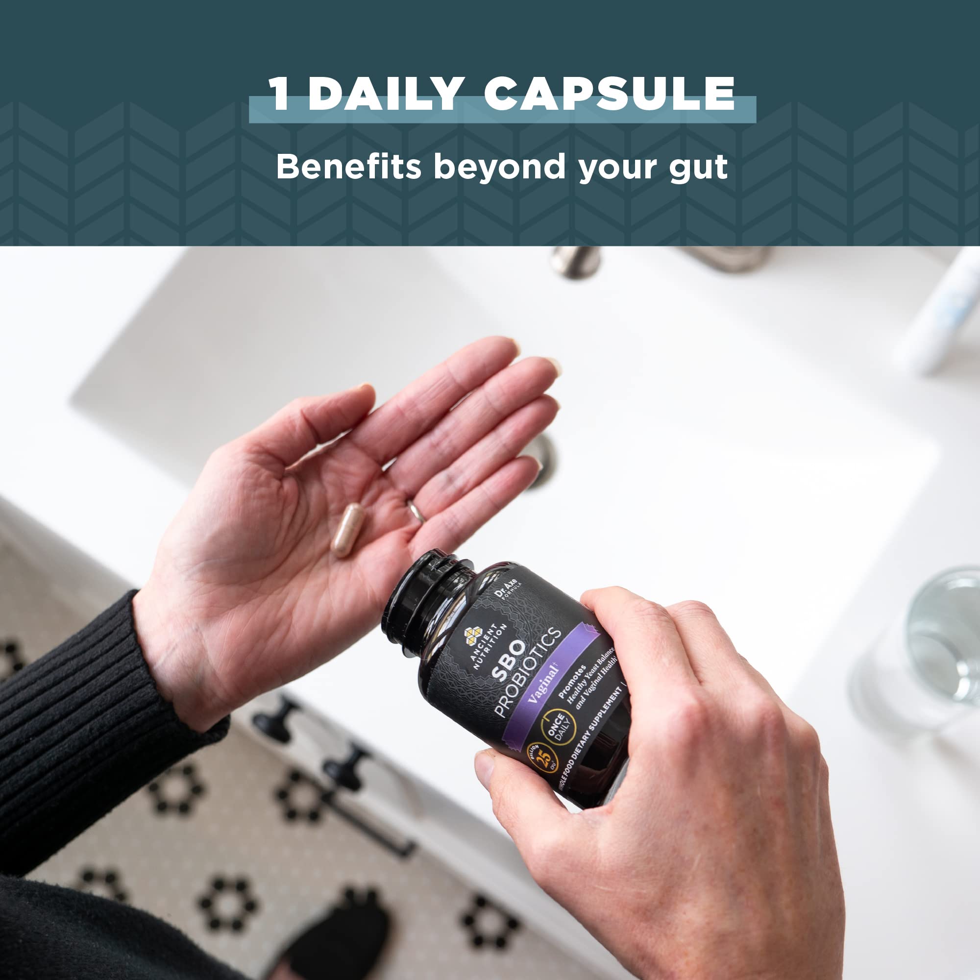 Ancient Nutrition Probiotic for Women cranberry ingredient close-up, supports balance and comfort.