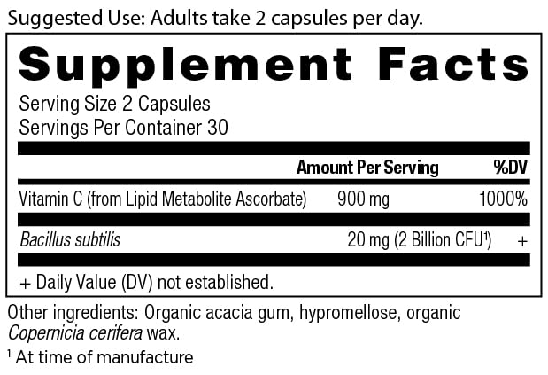 Ancient Nutrition Probiotics Vitamin C bottle back showing ingredients and dosage