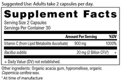 Ancient Nutrition Probiotics Vitamin C bottle back showing ingredients and dosage