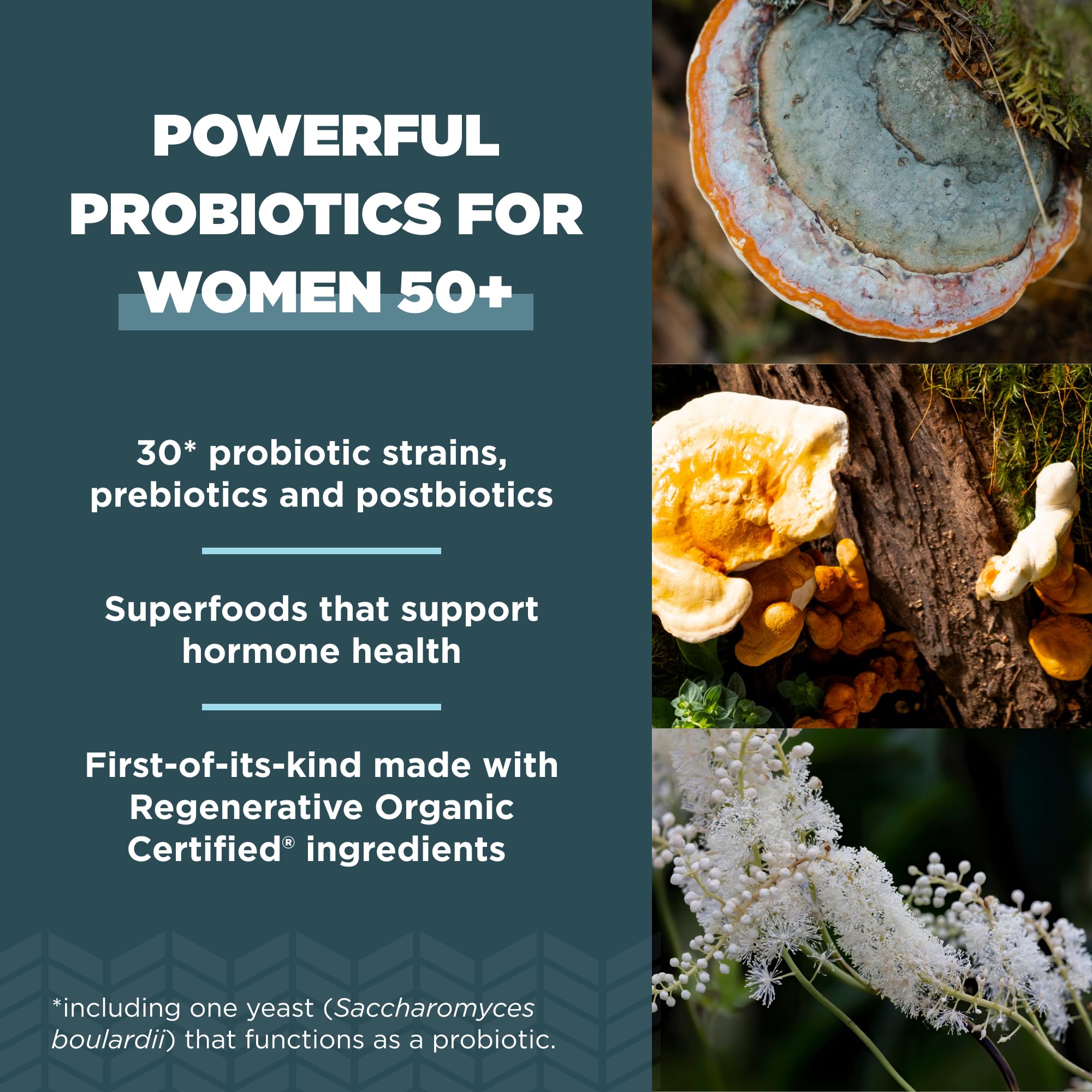 Ancient Nutrition Probiotics Women 50+ capsules with glass of water for daily intake