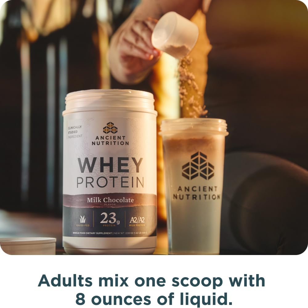 Ancient Nutrition proteína de suero chocolate, fuente de proteína diaria para fitness