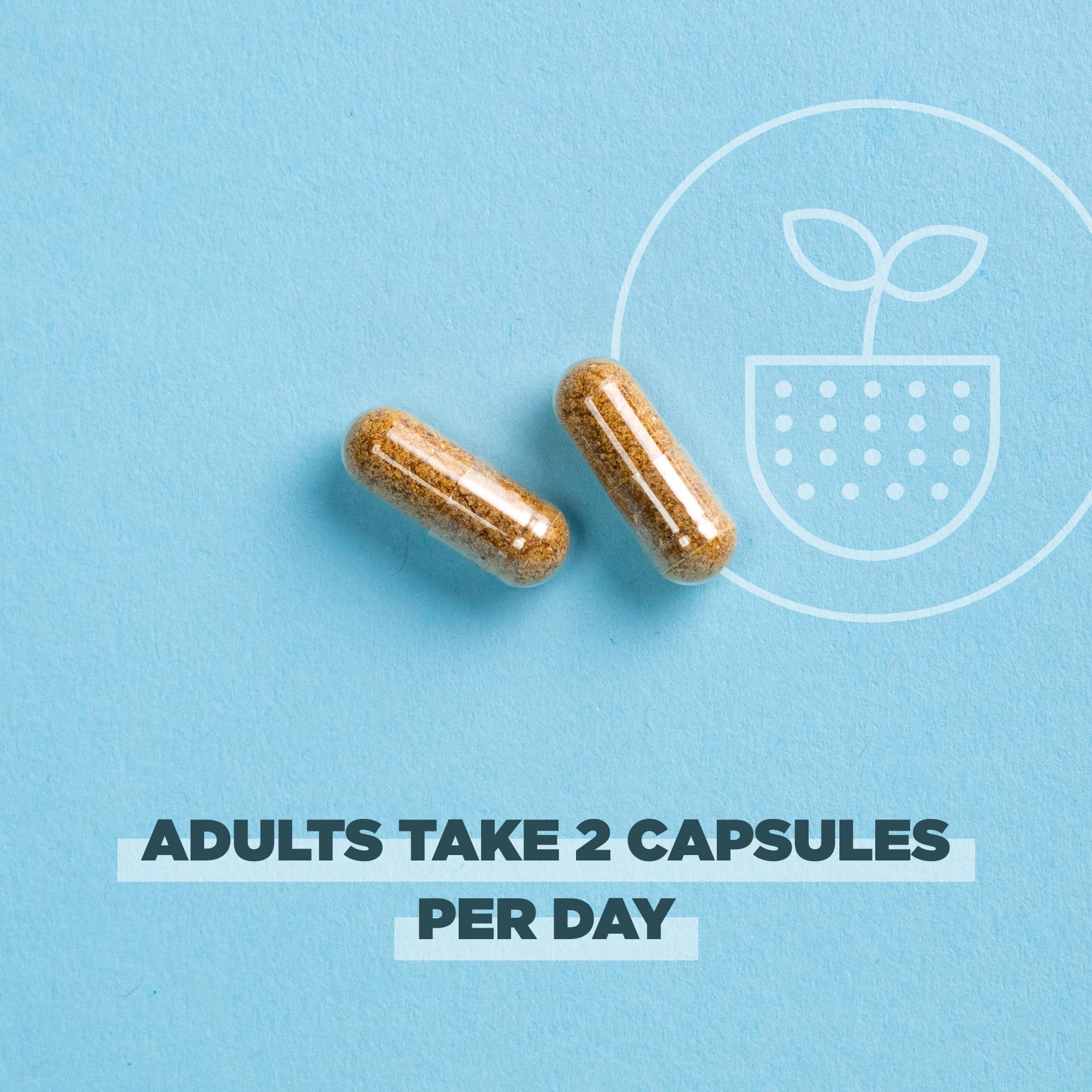 Ancient Nutrition regenerative bottle pouring capsules to illustrate daily dose.