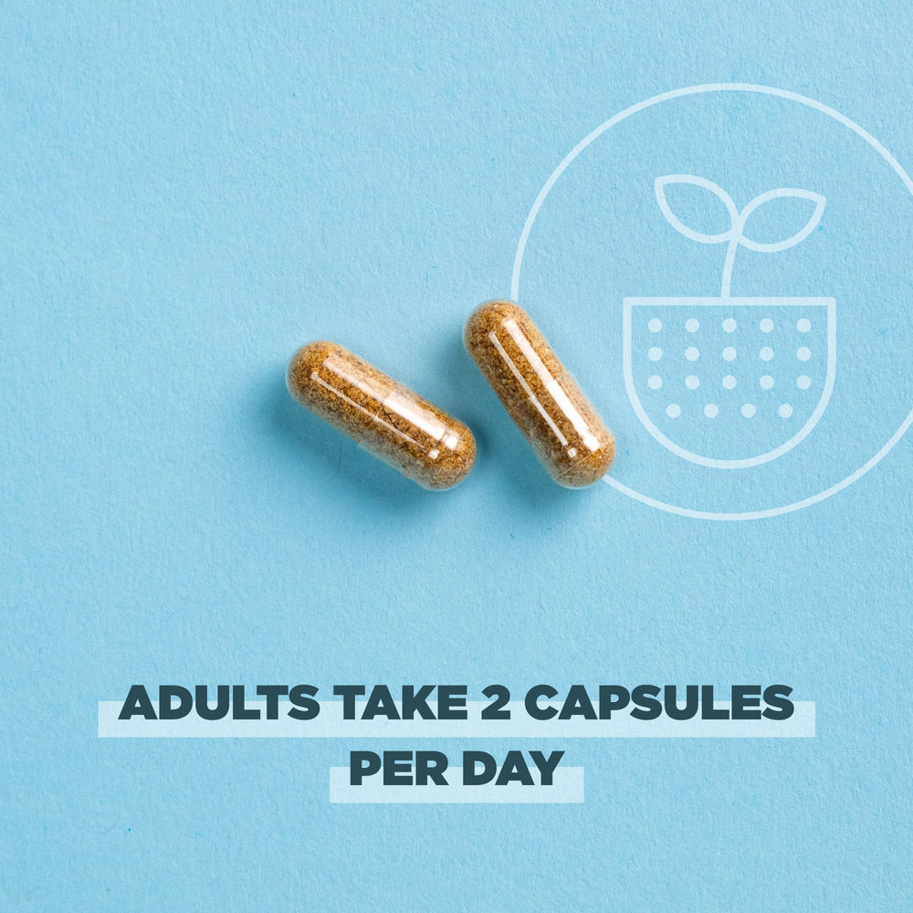 Ancient Nutrition regenerative bottle pouring capsules to illustrate daily dose.