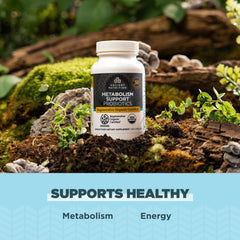 Ancient Nutrition cordyceps image highlighting regenerative organic ingredients.