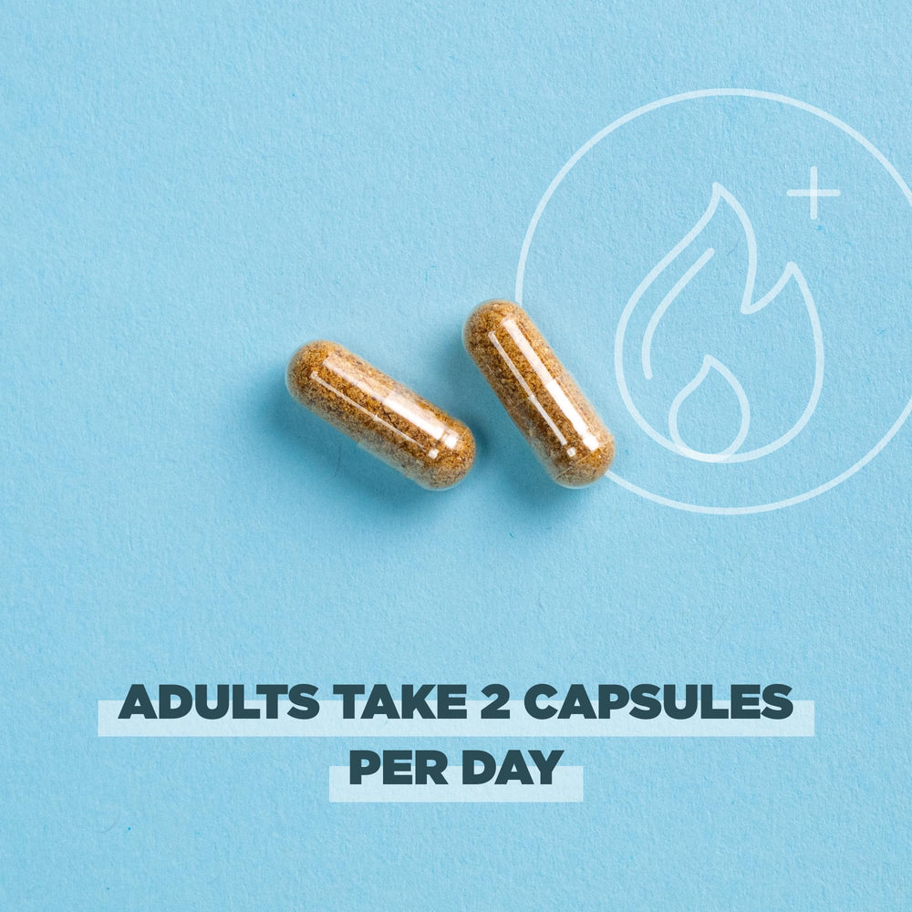 Ancient Nutrition ginger root capsules scene supporting gut health.