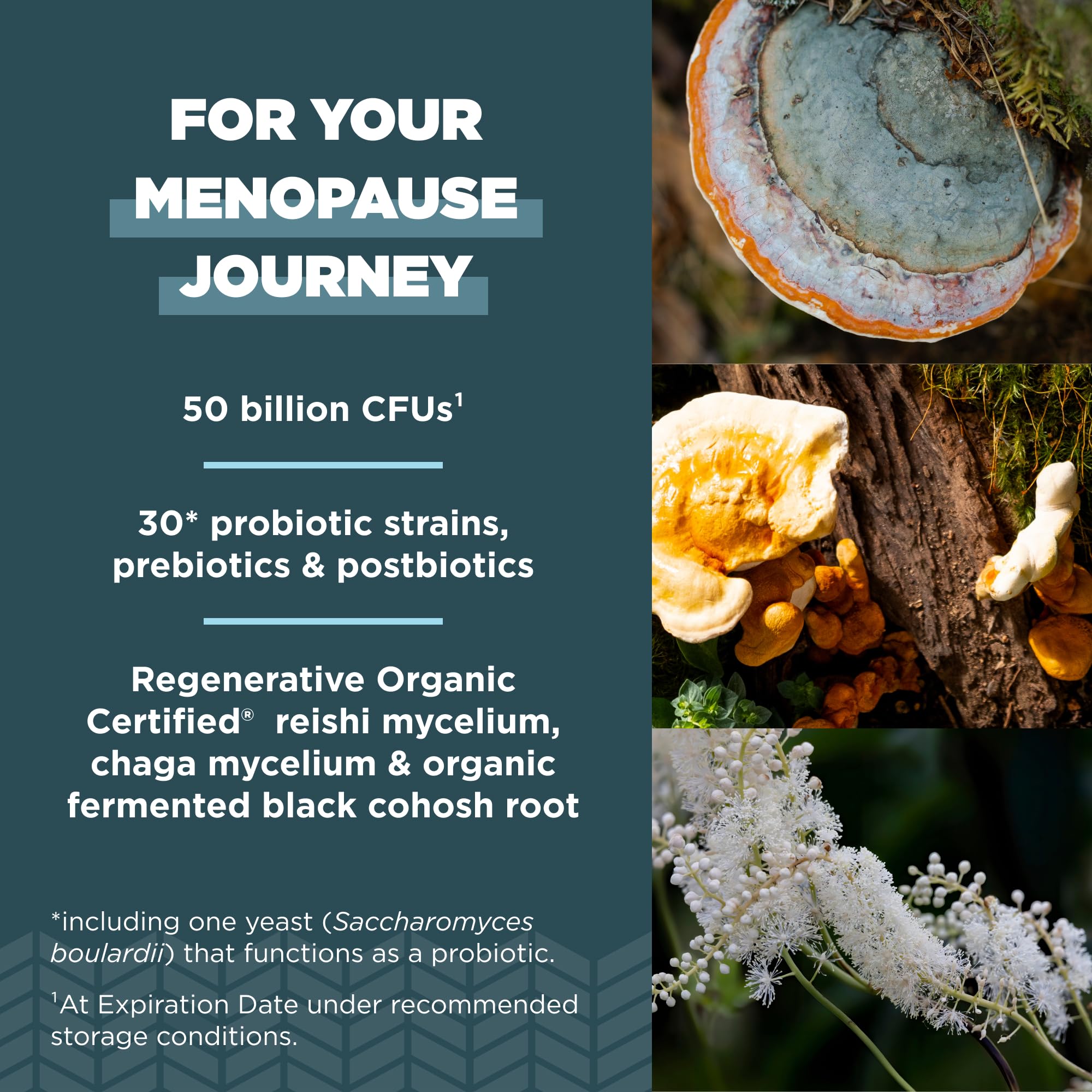 Ancient Nutrition probiotics ingredients close-up showing prebiotics and postbiotics for gut support