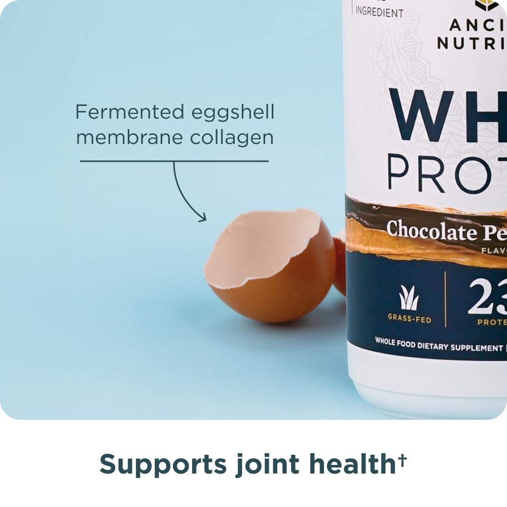 Batidos deliciosos con Ancient Nutrition, sabores atractivos para cumplir metas.