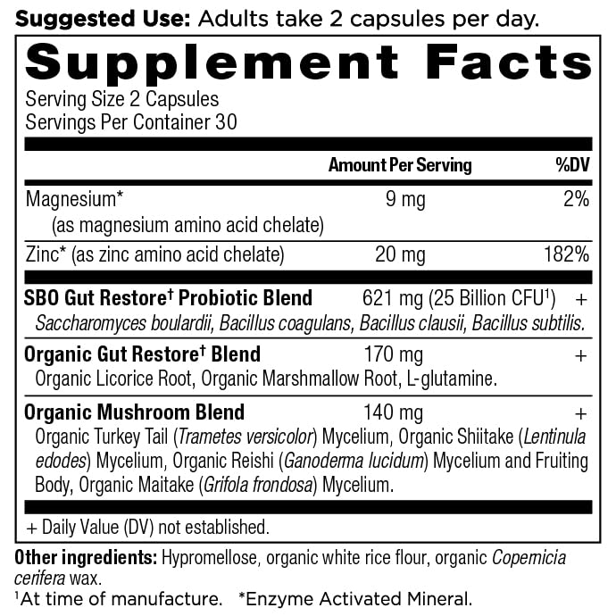 Ancient Nutrition SBO Gut Restore cap close-up showing easy-to-take capsules