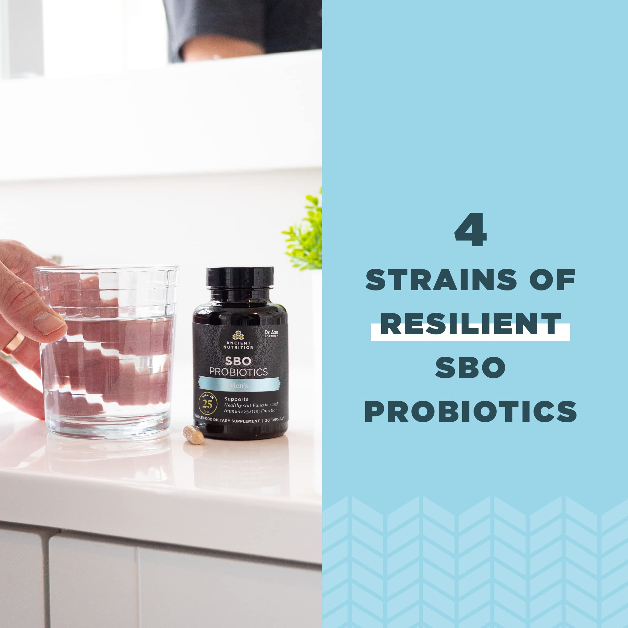 Ancient Nutrition Probiotics label close-up with organic fermented blend.