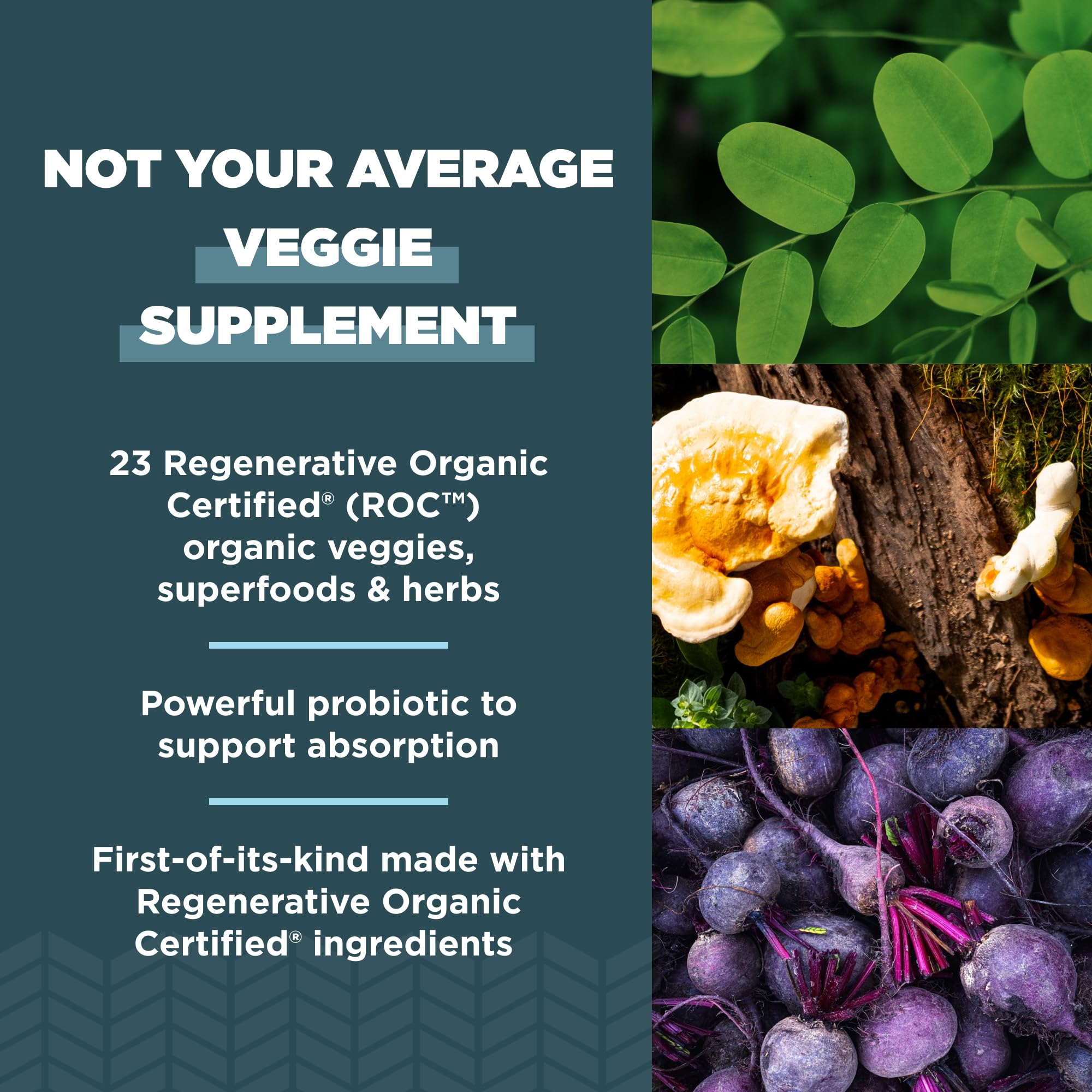 Ancient Nutrition SuperVeggies regenerative organic-certified badge close-up.