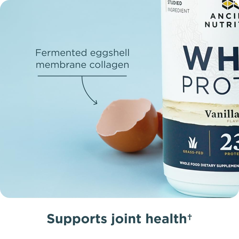 Ancient Nutrition third-party testing logo signals trusted quality on the label.