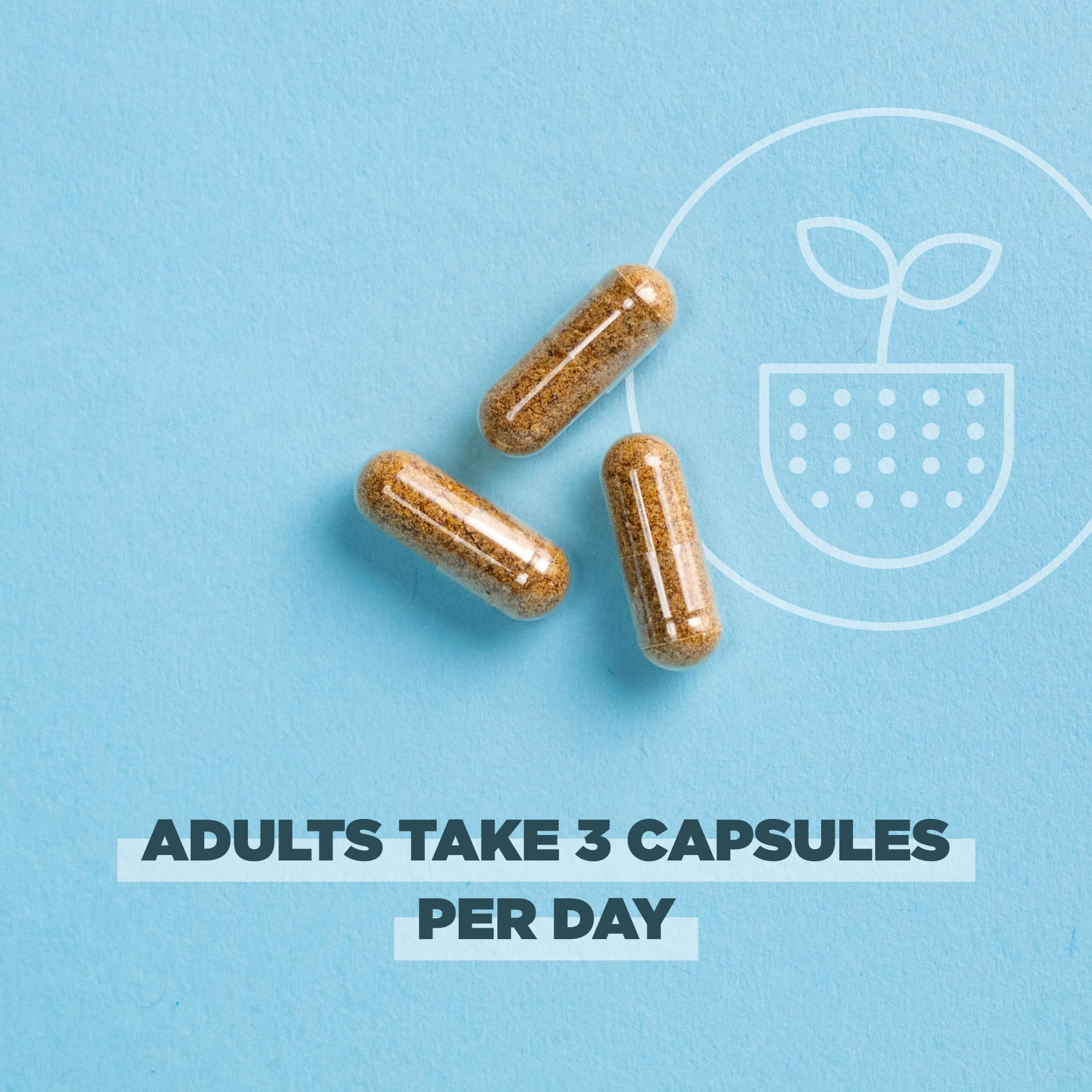 Ancient Nutrition capsules poured for convenient daily use
