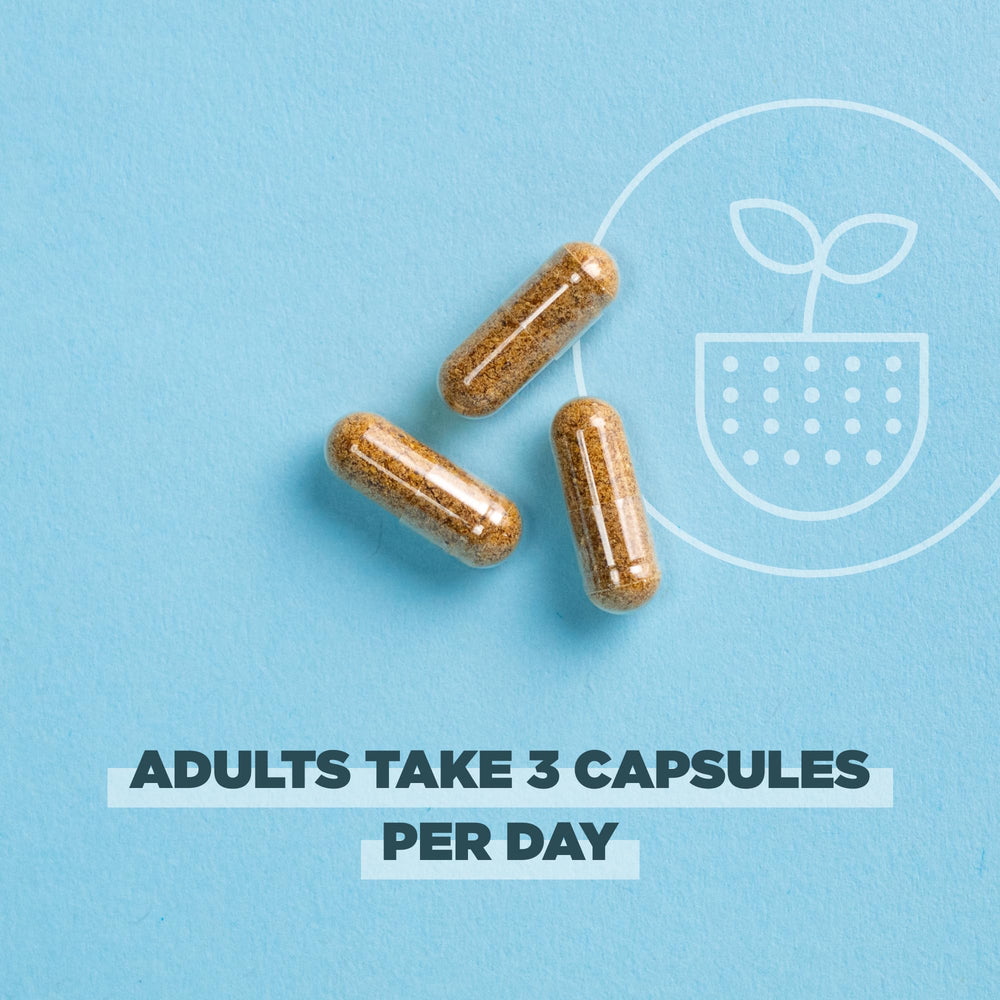Ancient Nutrition capsules poured for convenient daily use