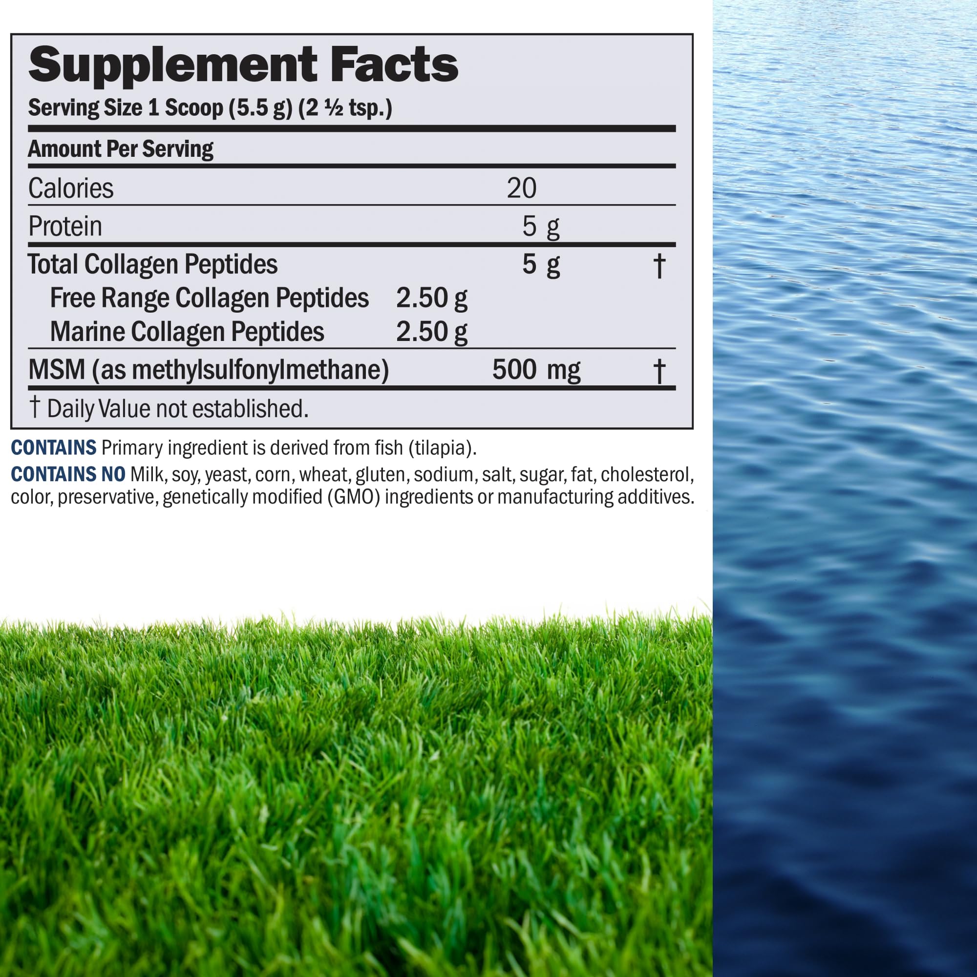 ANDREW LESSMAN collagen peptides with MSM dissolve easily, supporting a smooth internal collagen matrix.