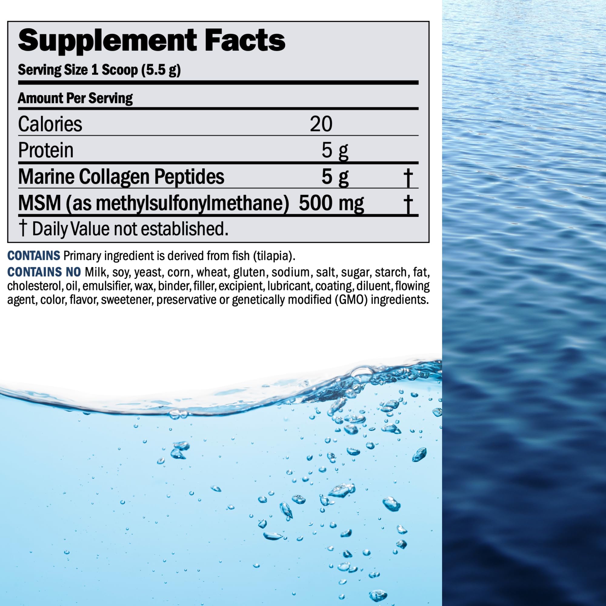 ANDREW LESSMAN MSM powder beside bottle highlighting 500 mg sulfur source