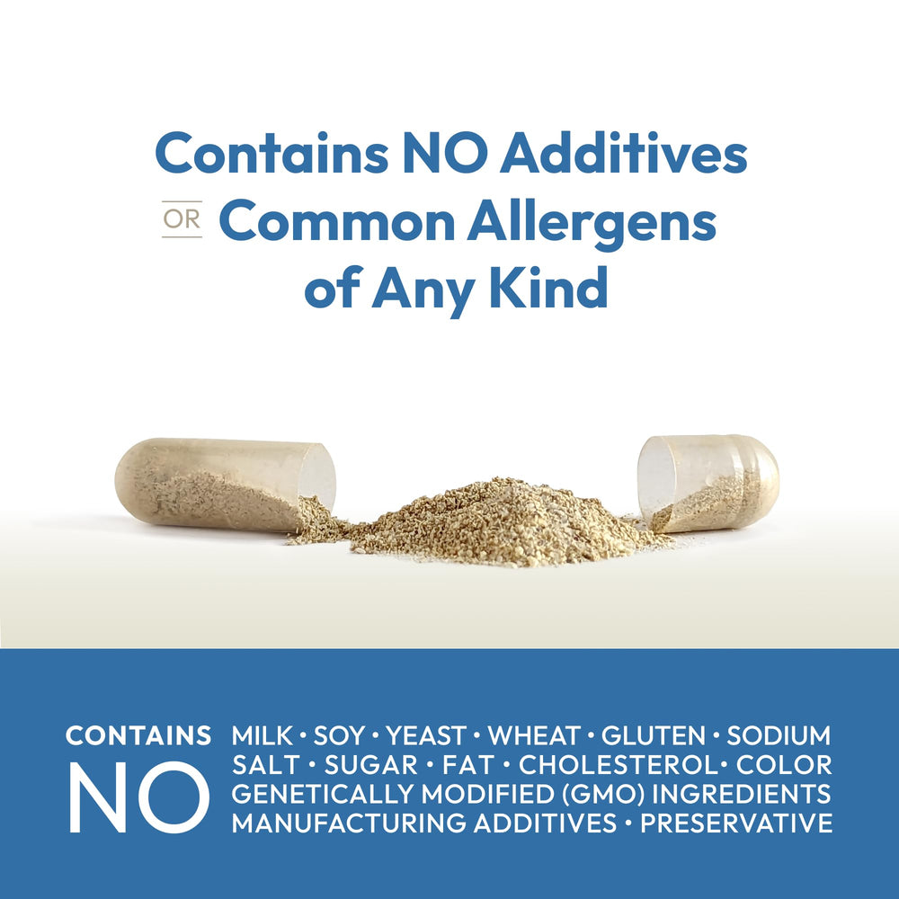 ANDREW LESSMAN Pine Bark extract bottle representing antioxidant support