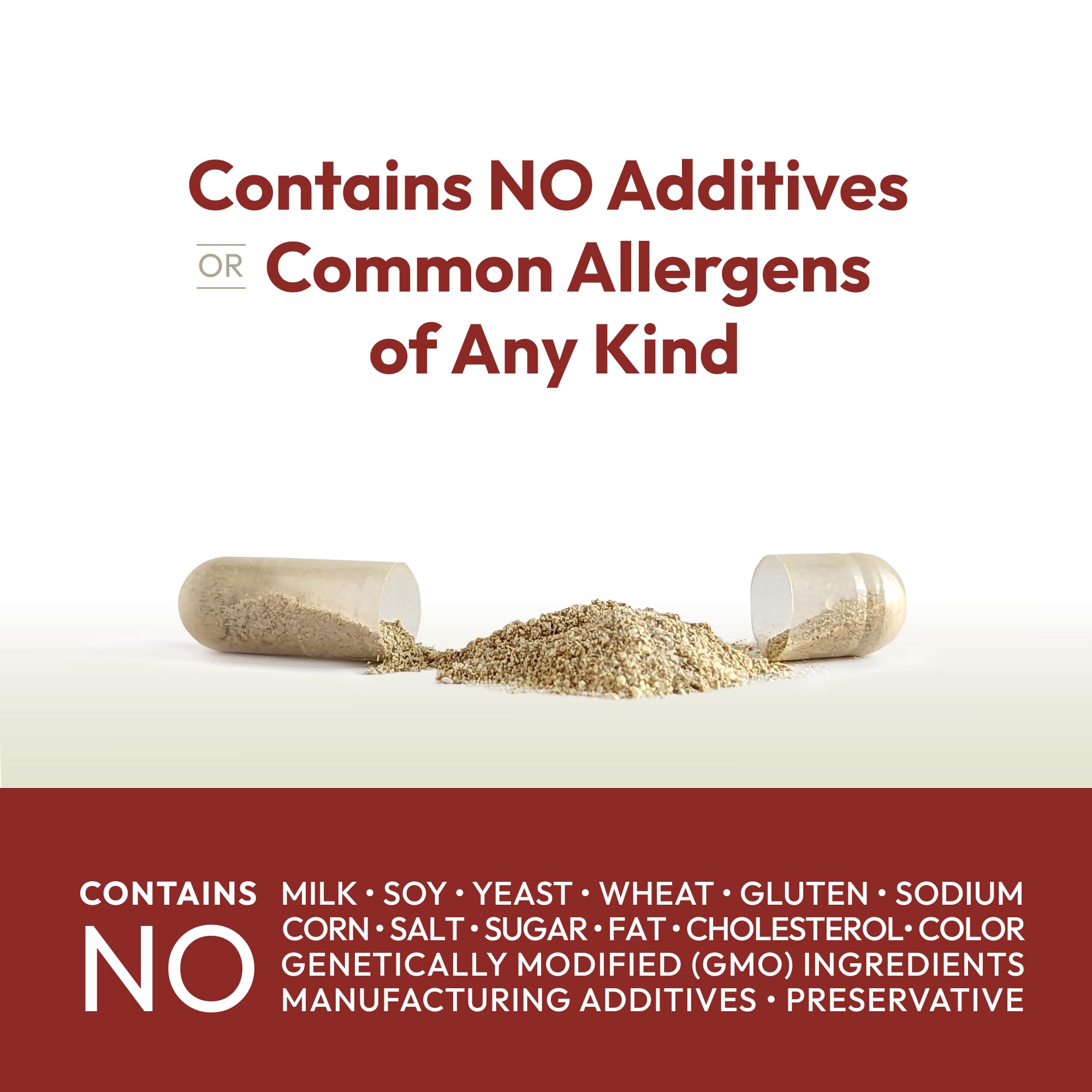 Andrew Lessman Vitamin B12 500 eco-friendly packaging and recyclable bottles.